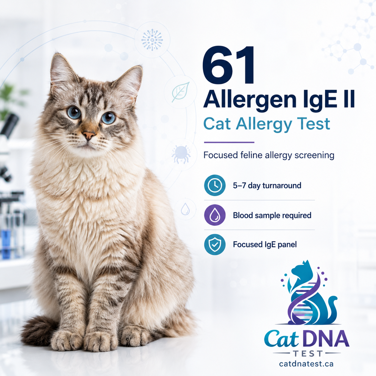 Cat Allergy Test Single Panel 61 Allergen IgE II β Comprehensive Feline Allergy Screening